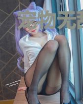 宠物无敌升级系统