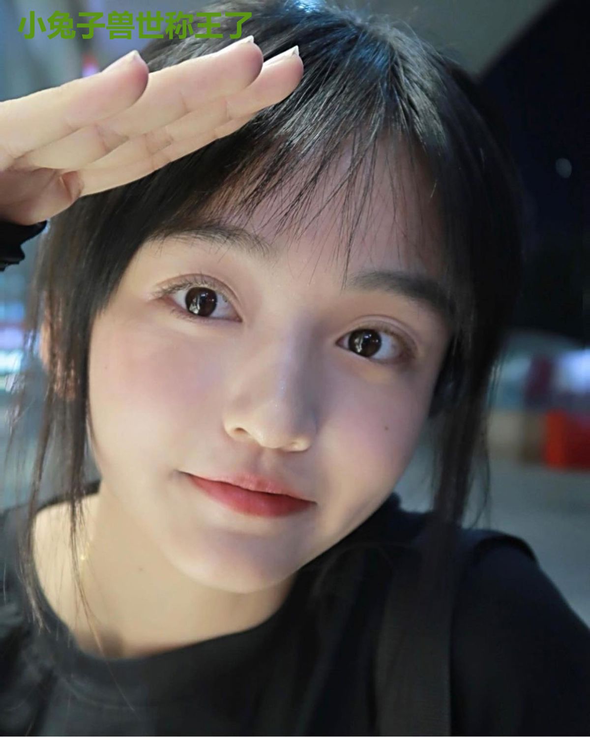小兔子兽世称王了