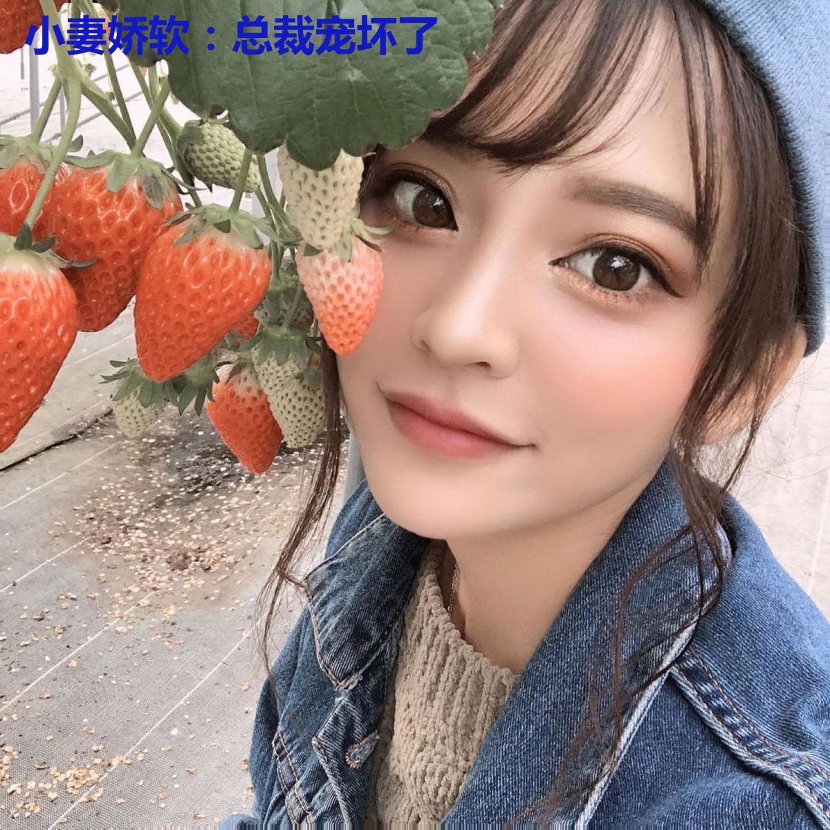 小妻娇软:总裁宠坏了