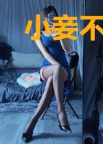 小妾不乖:傲娇王爷来侍寝