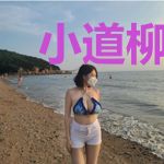小道柳丹青