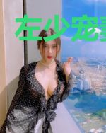 左少宠妻至深