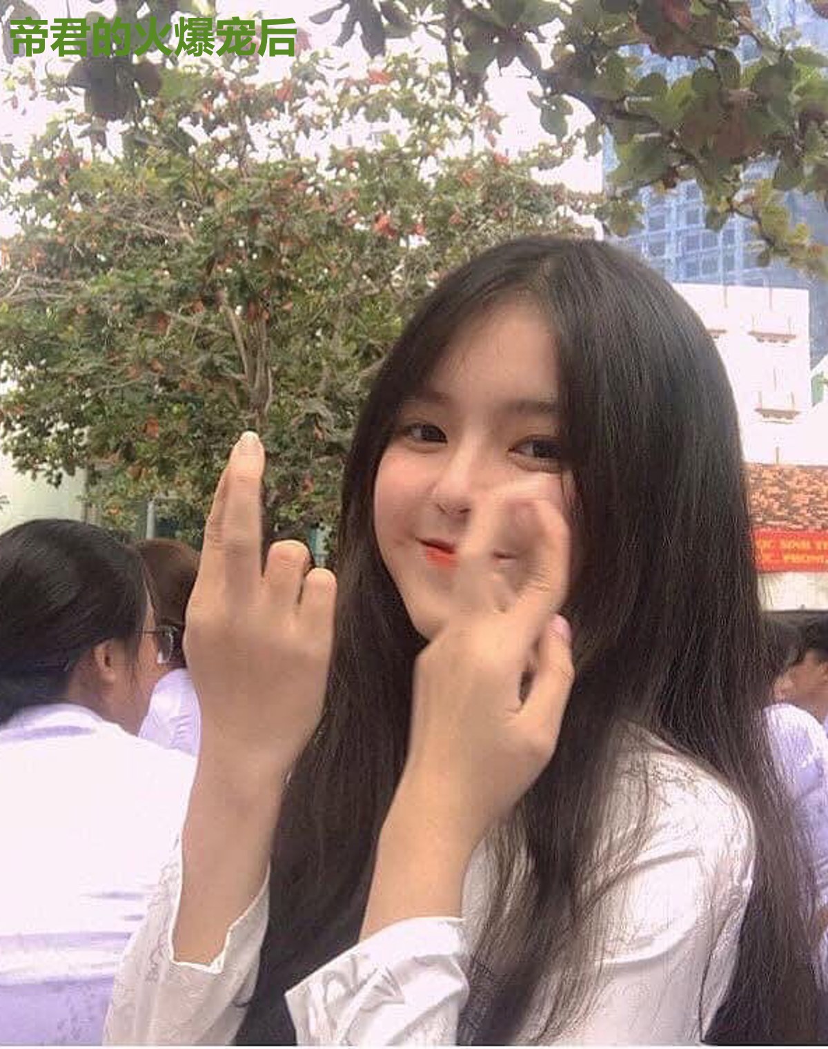 帝君的火爆宠后
