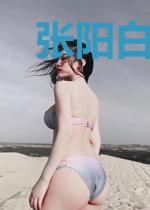 张阳白婉晴