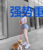强势重生:傅少的学霸小甜妻