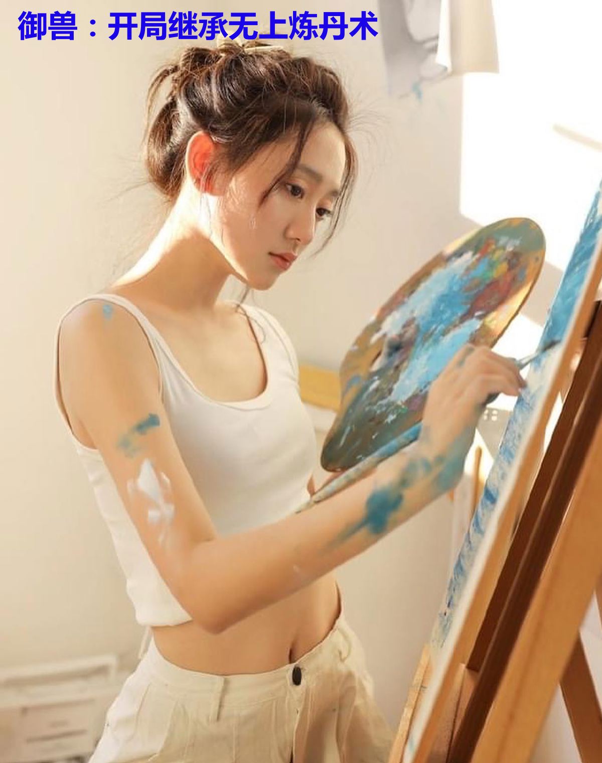 御兽:开局继承无上炼丹术