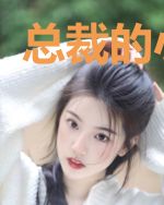 总裁的小妖精