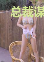 总裁谋婚有道