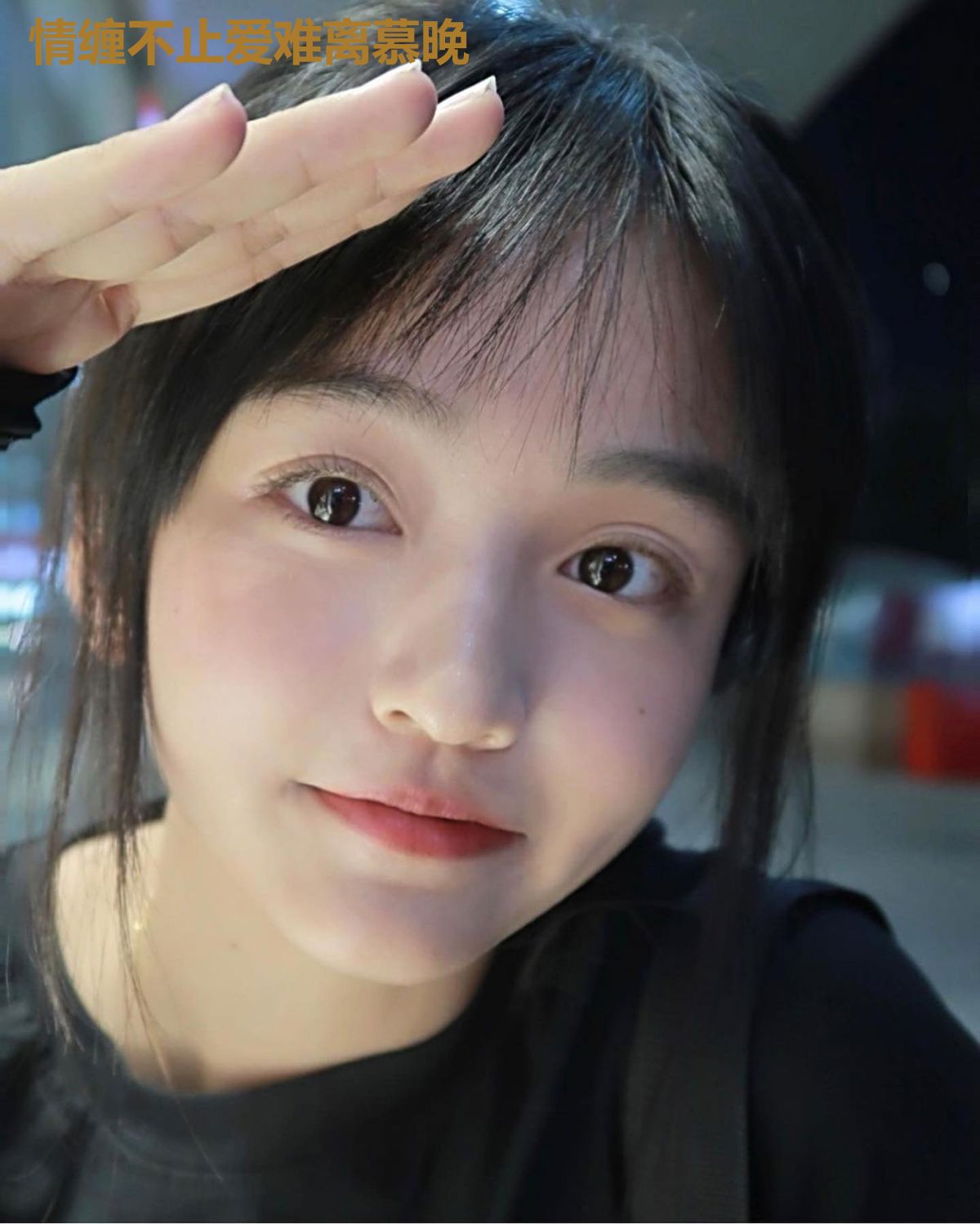 情缠不止爱难离慕晚