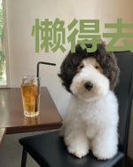 懒得去渡你