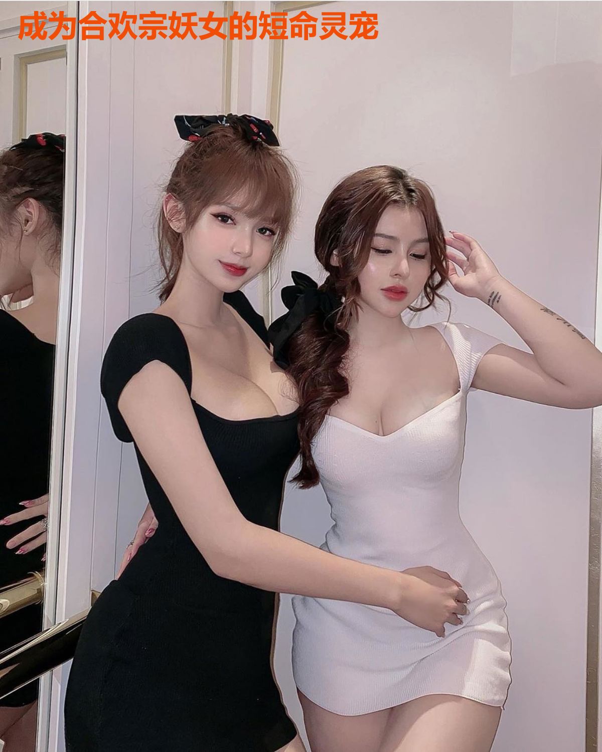成为合欢宗妖女的短命灵宠