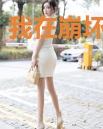我在崩坏玩忍术