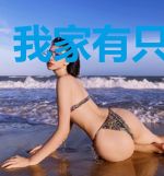 我家有只白天鹅