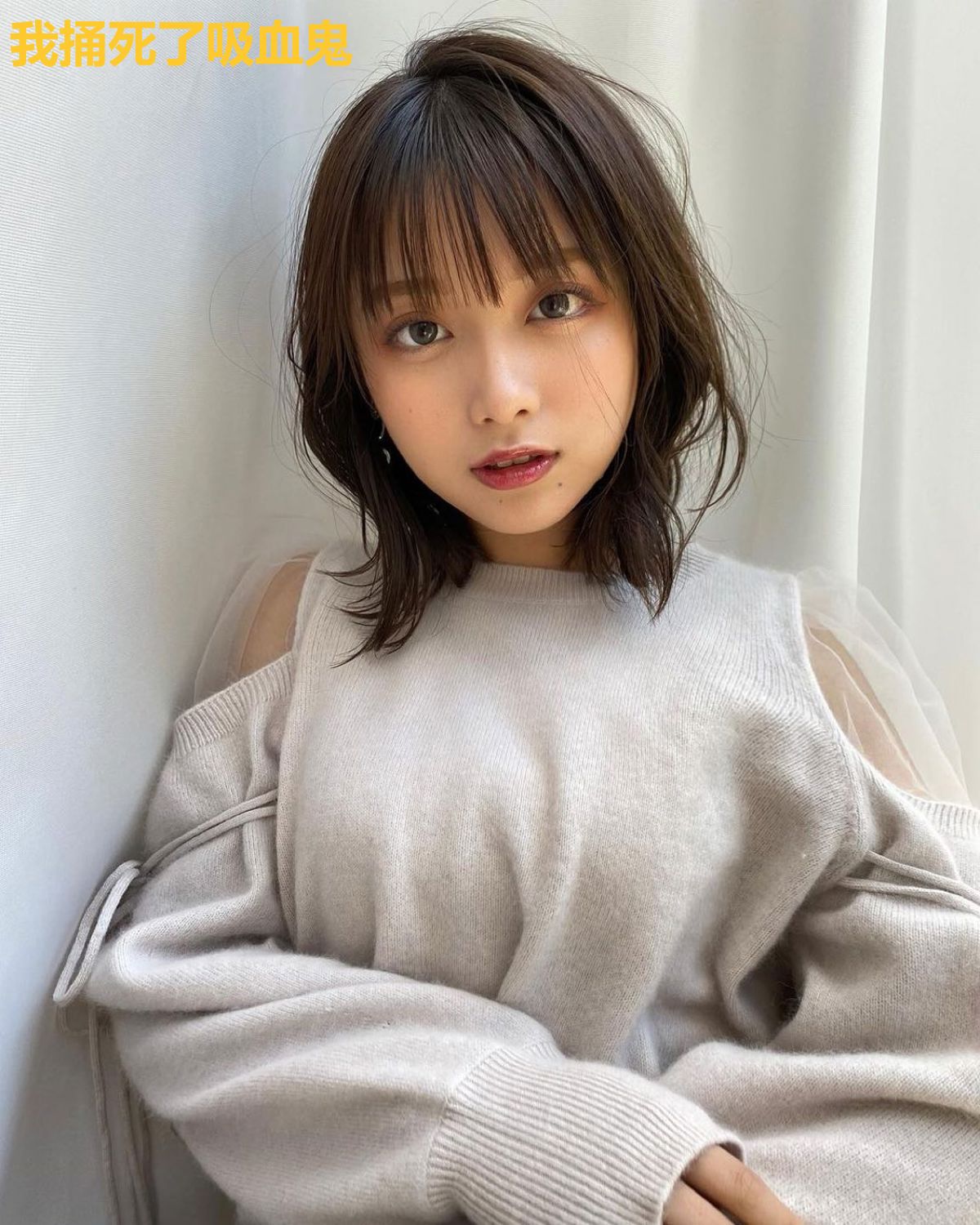 我捅死了吸血鬼
