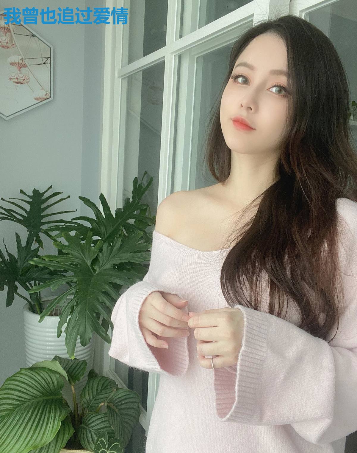 我曾也追过爱情