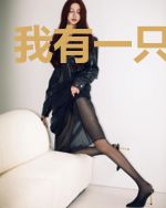 我有一只战斗鸡