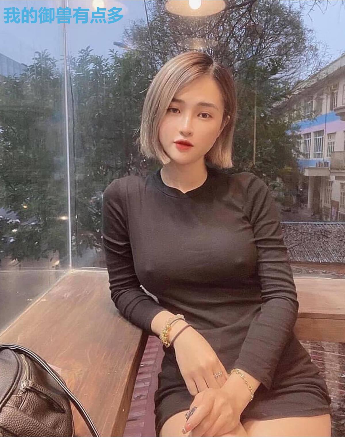 我的御兽有点多