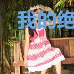 我的绝色武神老婆