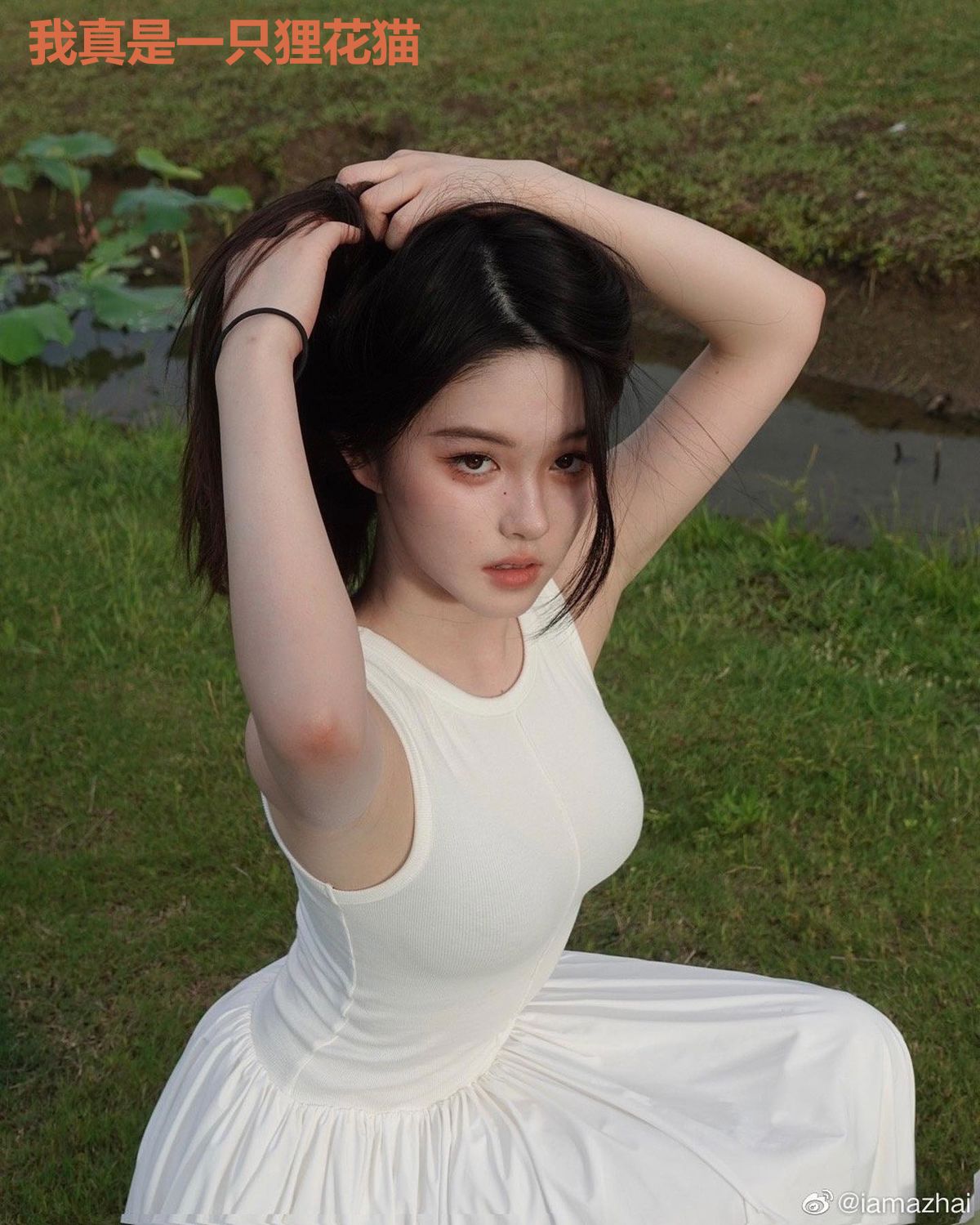 我真是一只狸花猫