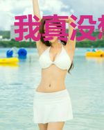 我真没想抄袭