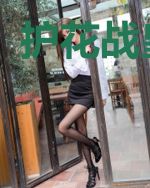 护花战皇叶麟