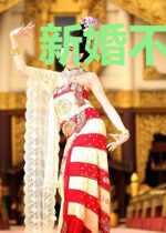 新婚不宠妻