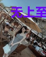 无上至尊逍遥医仙