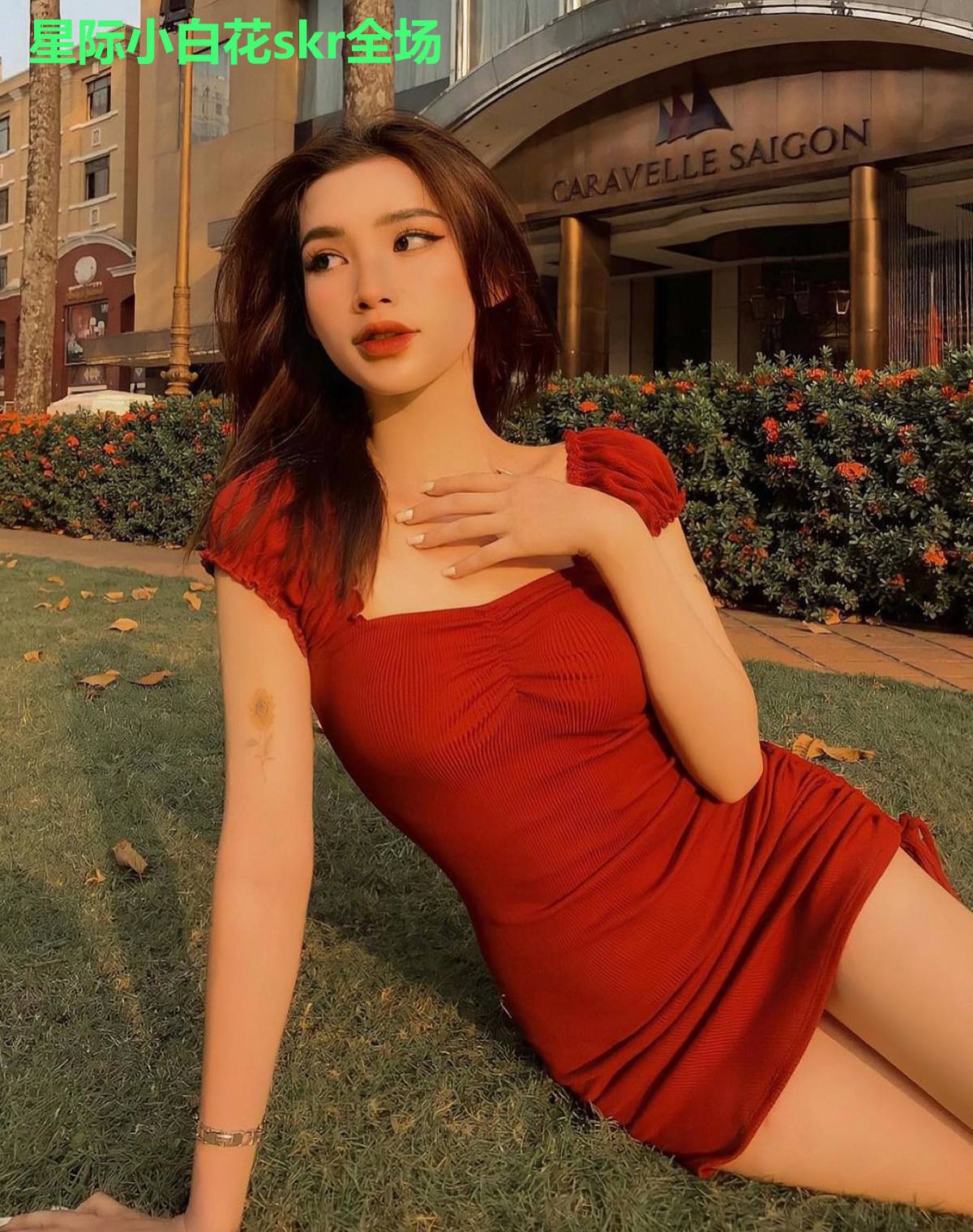 星际小白花skr全场