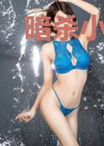 暗杀小队的奇妙冒险