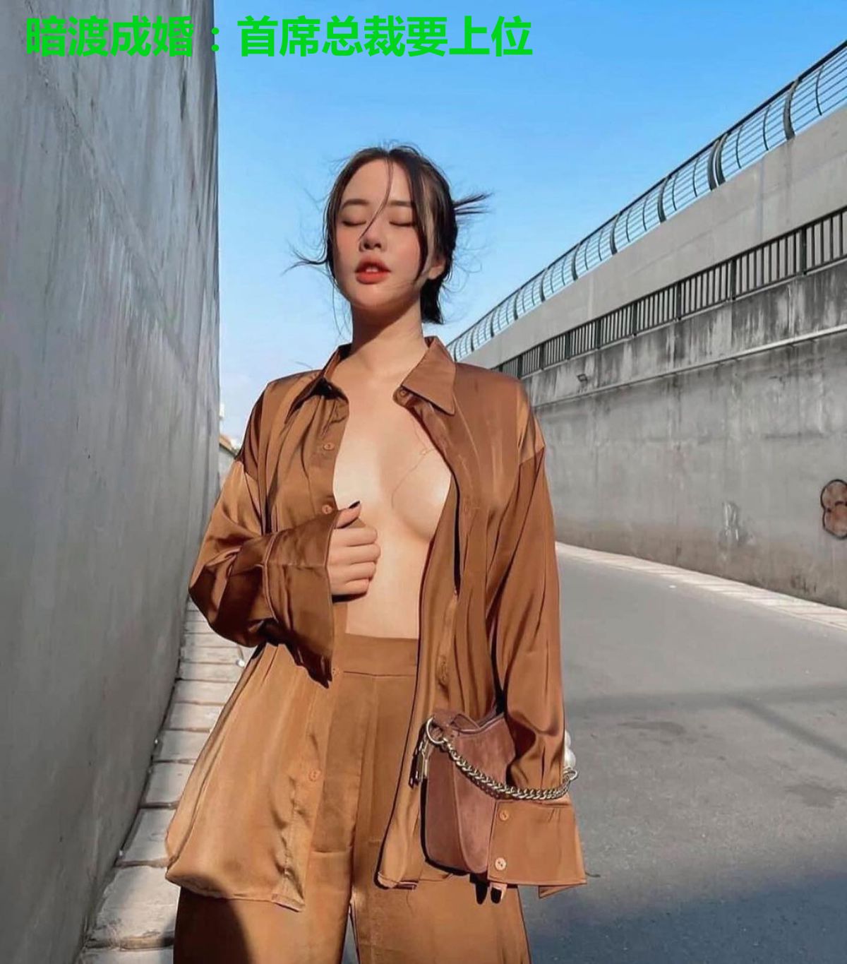 暗渡成婚:首席总裁要上位