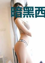 暗黑西游记