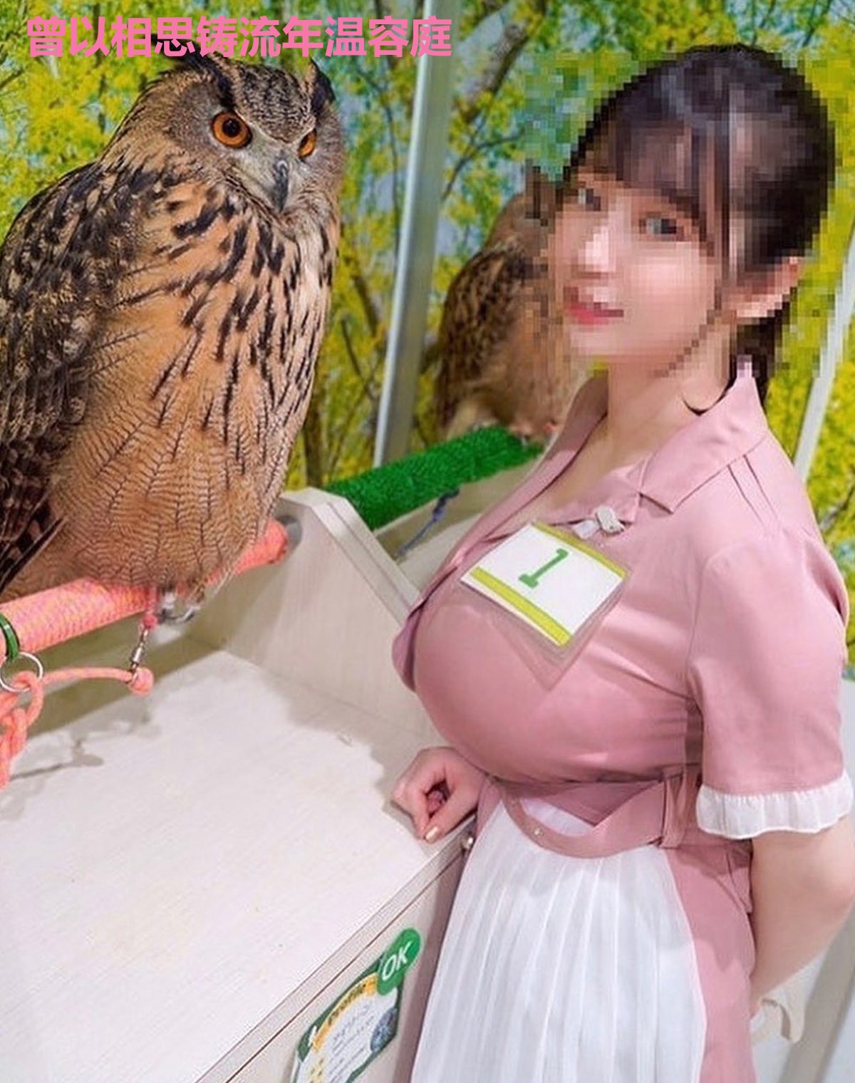 曾以相思铸流年温容庭