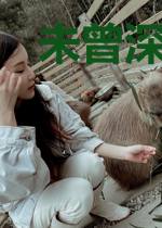 未曾深爱,何以言婚