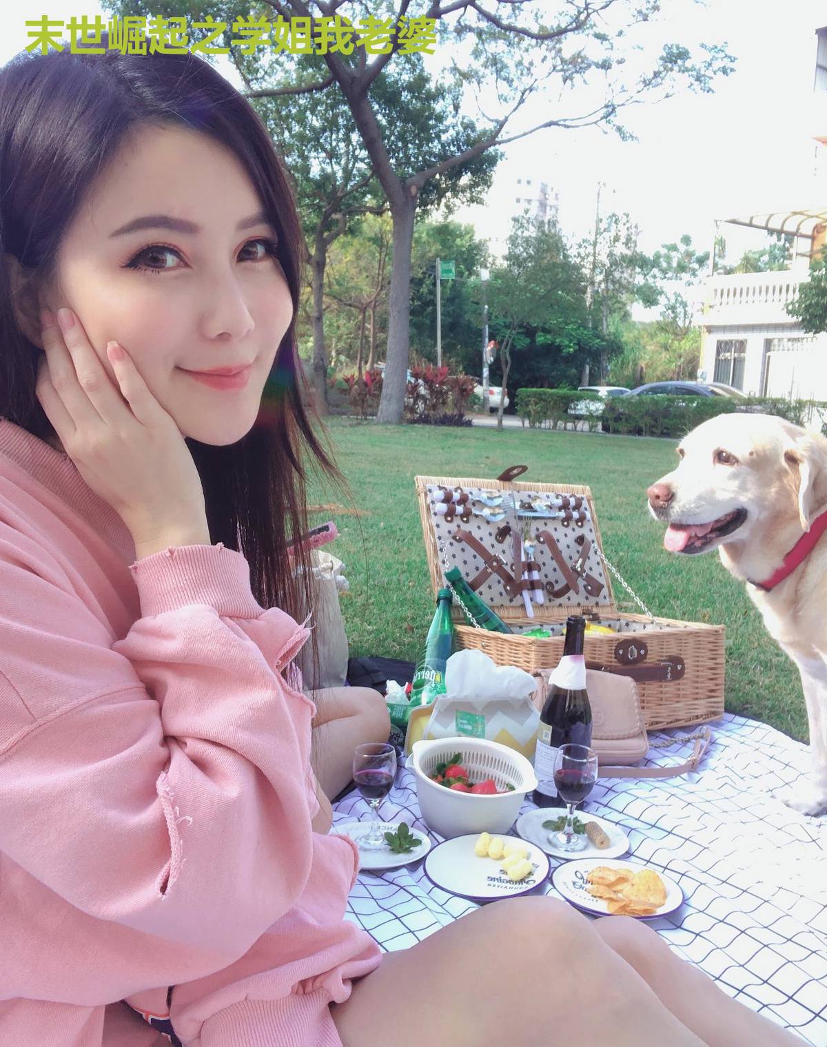 末世崛起之学姐我老婆