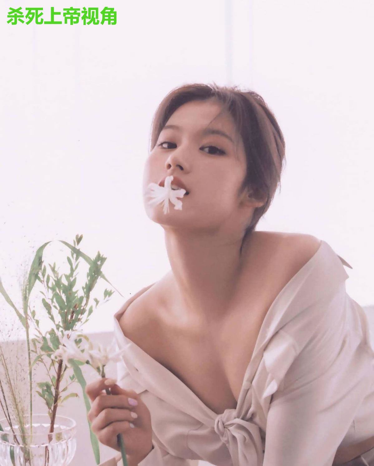杀死上帝视角