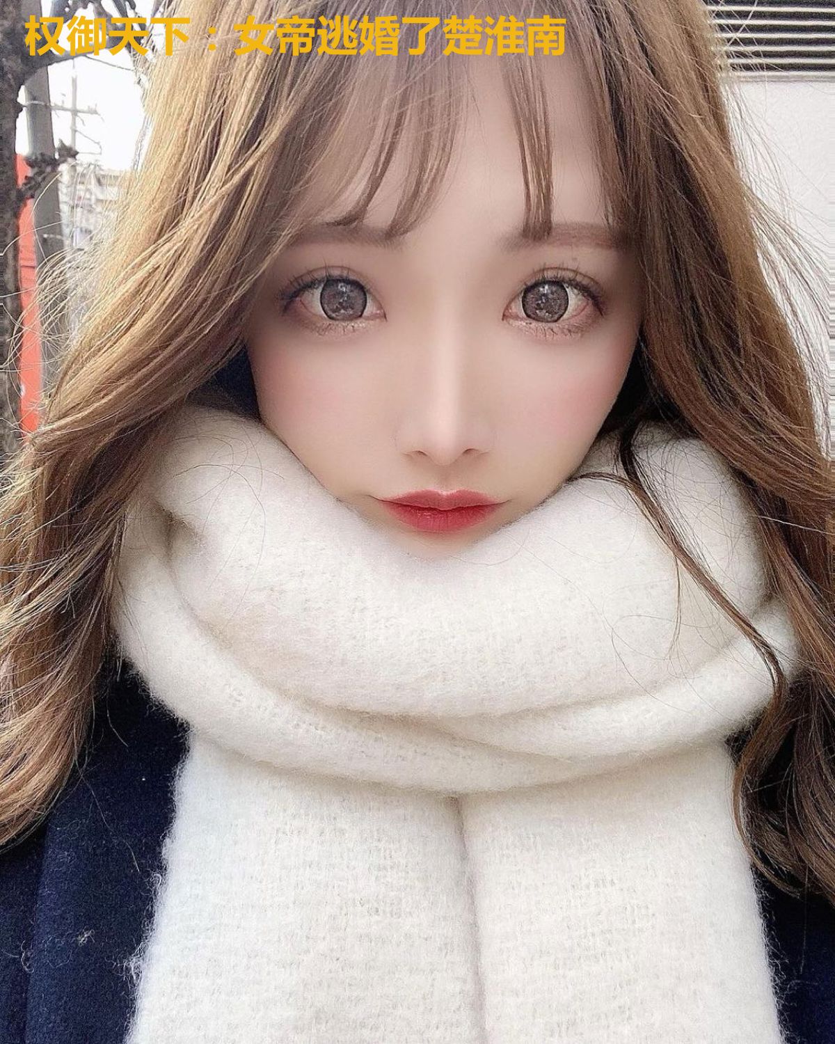 权御天下:女帝逃婚了楚淮南