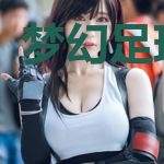 梦幻足球经理