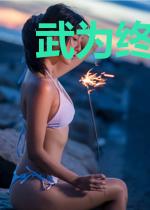武为终道方始