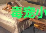 毒宠小狂后