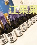 江果果顾寒煜全集