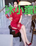 沐小蛮叶靳深