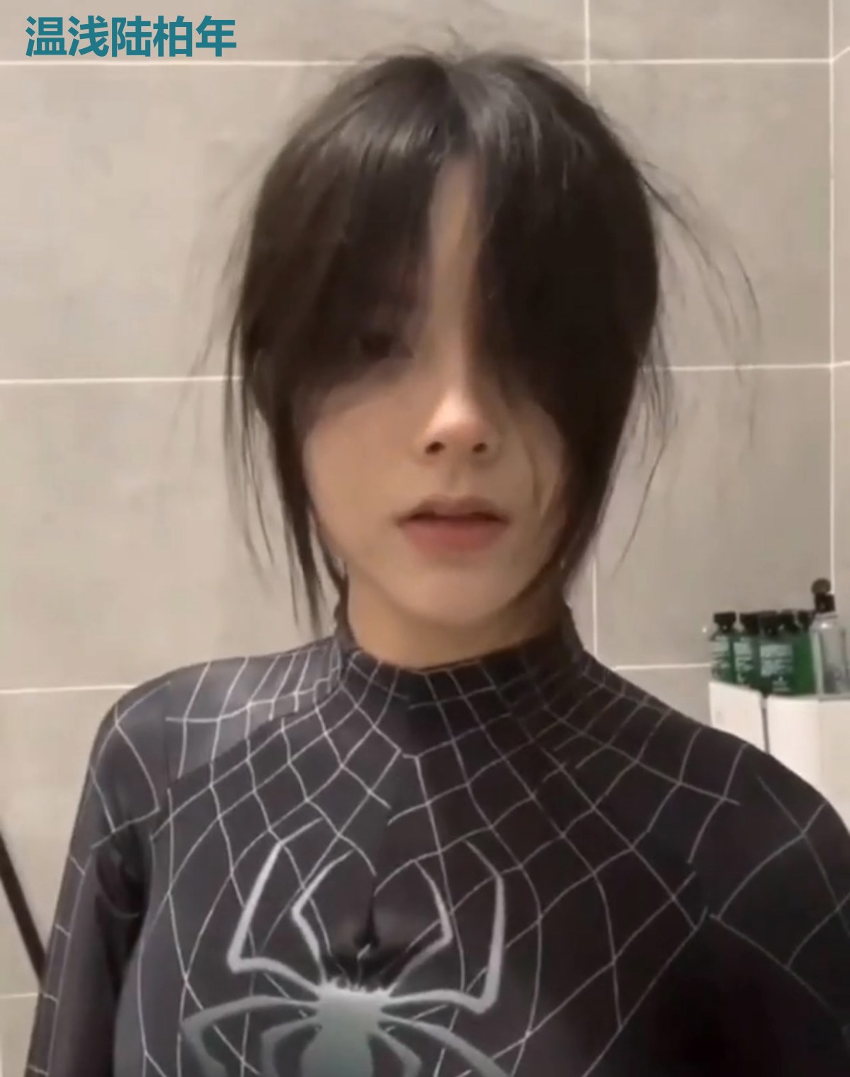 温浅陆柏年