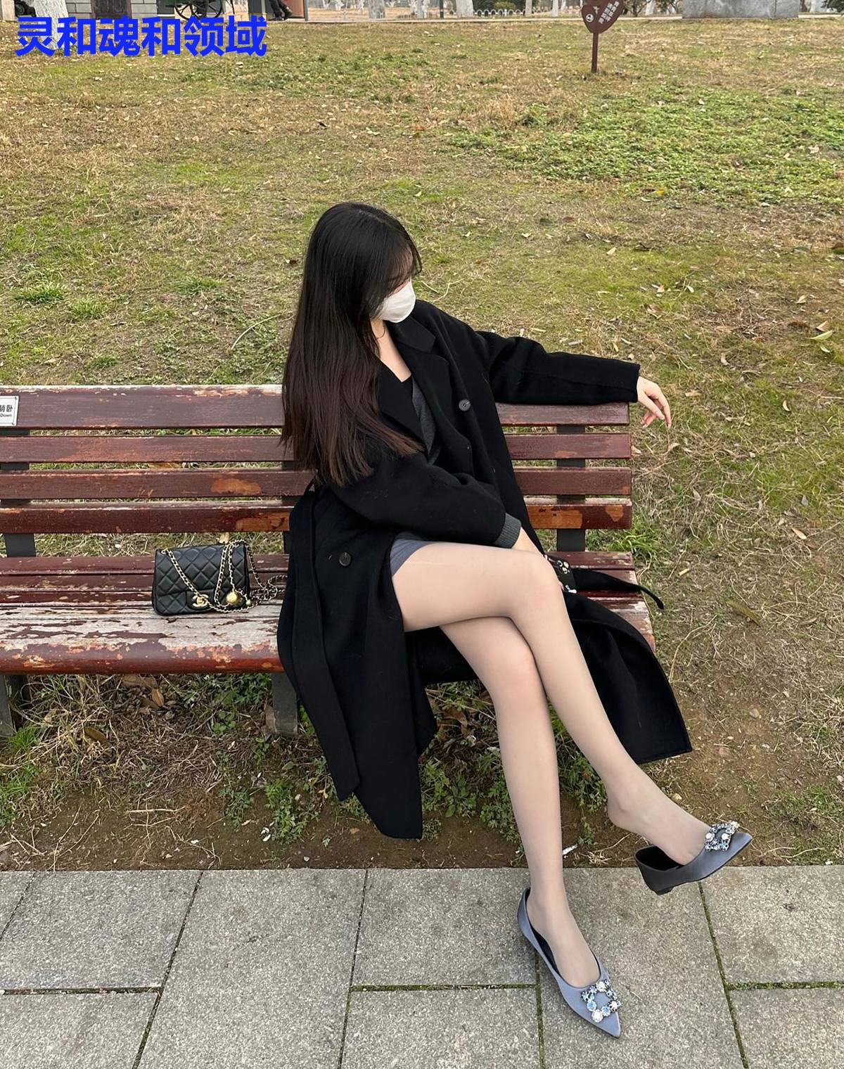 灵和魂和领域