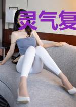 灵气复苏之钢铁灵探