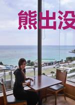 熊出没之唐朝之旅
