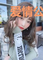 爱情公寓：长风而去