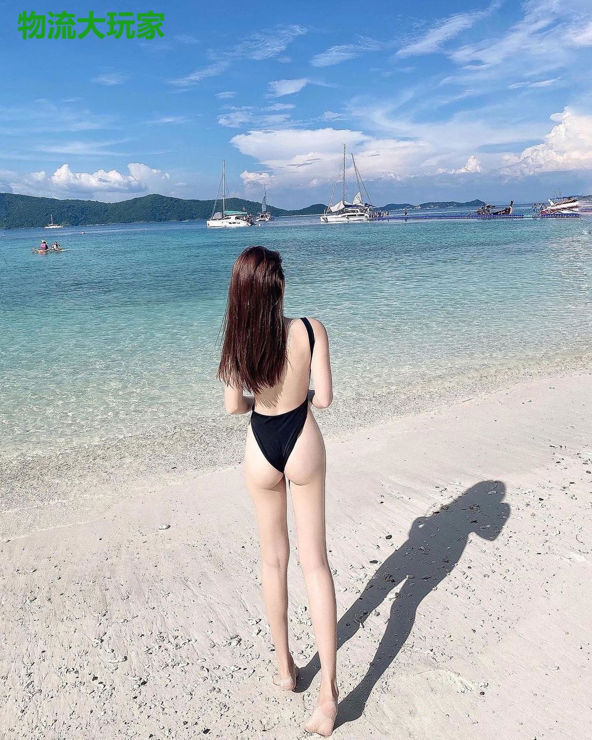 物流大玩家