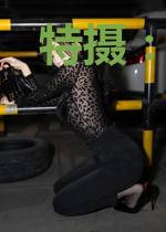 特摄：从迪迦奥特曼开始
