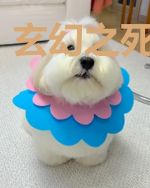 玄幻之死域源起