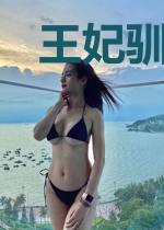 王妃驯兽手札（重生）